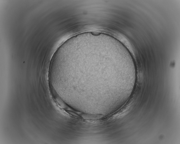 X0000096690954200802261537