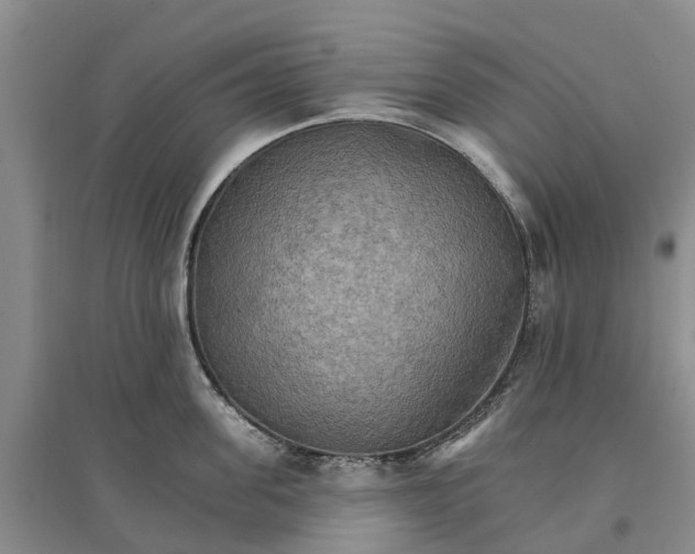 X0000096690955200802261537