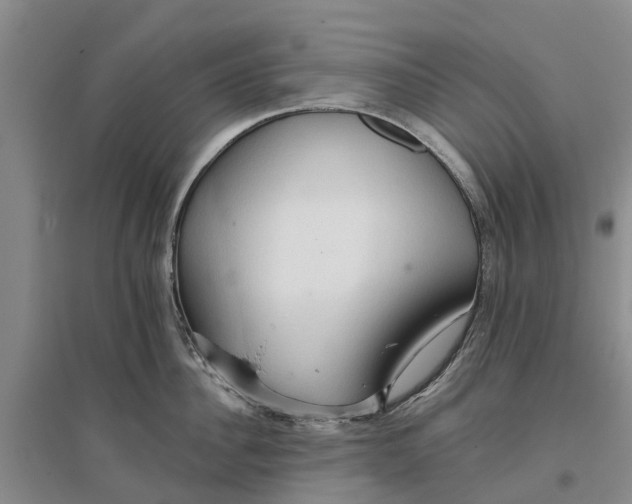 X0000096690956200802261537