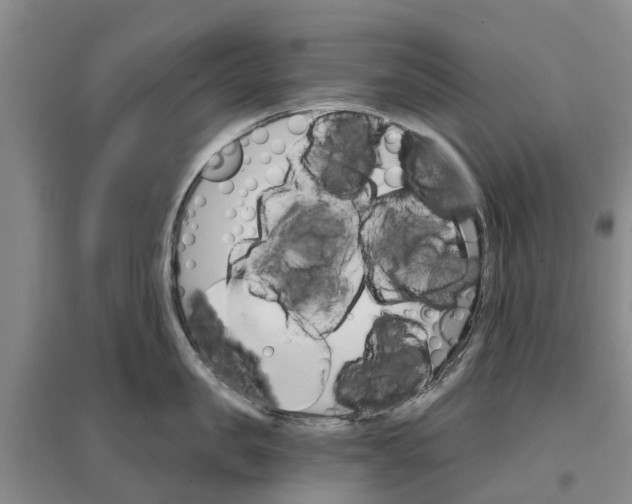 X0000096690957200802261537