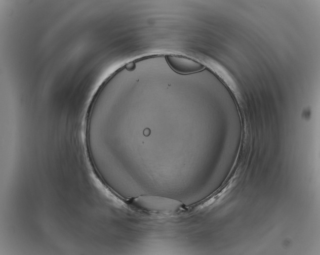 X0000096690958200802261537