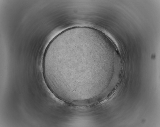 X0000096690959200802261537