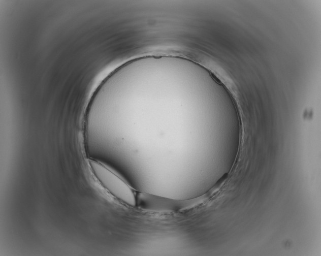 X0000096690960200802261537