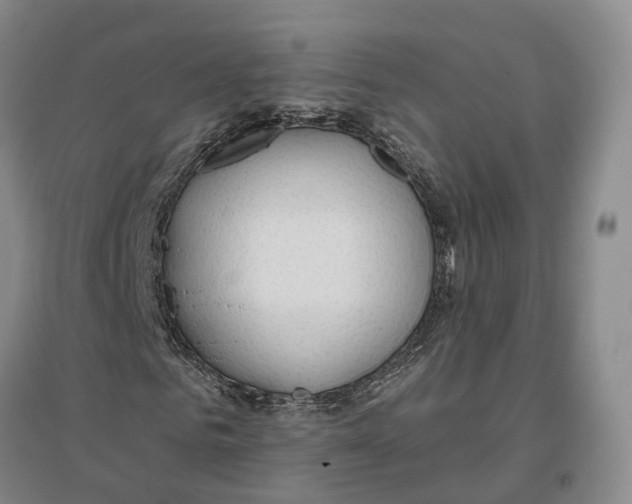 X0000096690961200802261536