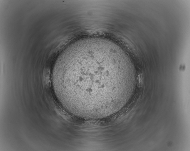 X0000096690963200802261536