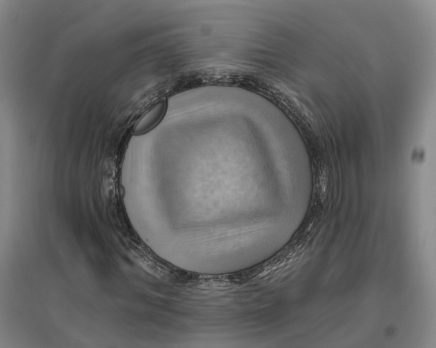 X0000096690964200802261536