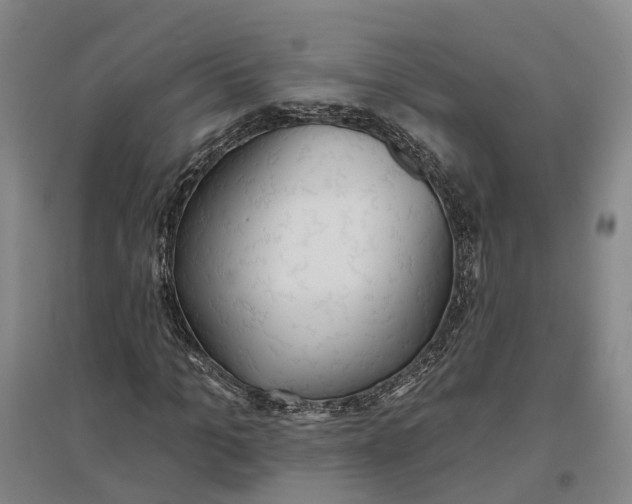 X0000096690965200802261536