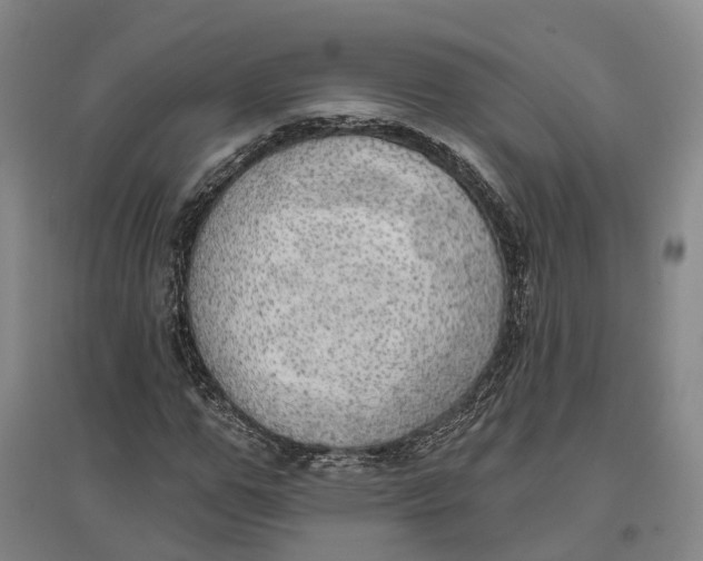 X0000096690967200802261536