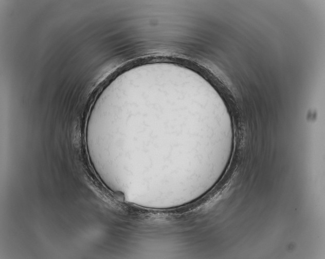 X0000096690969200802261536