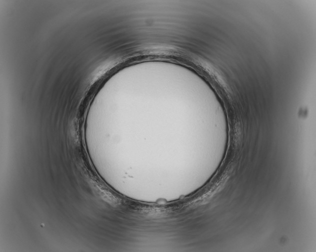 X0000096690970200802261536