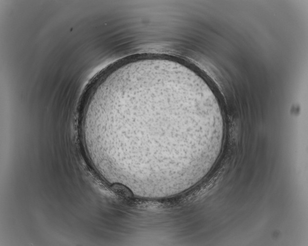 X0000096690971200802261536