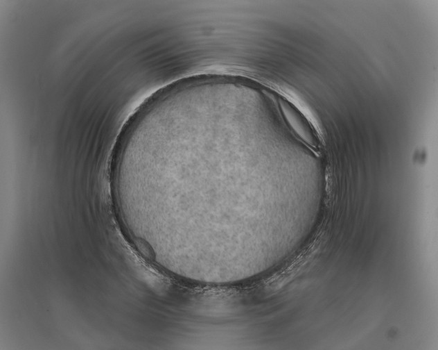 X0000096690972200802261536