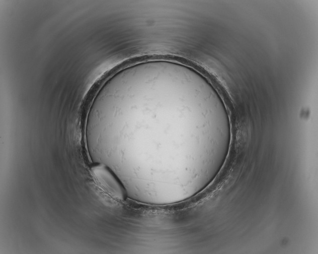 X0000096690973200802261536