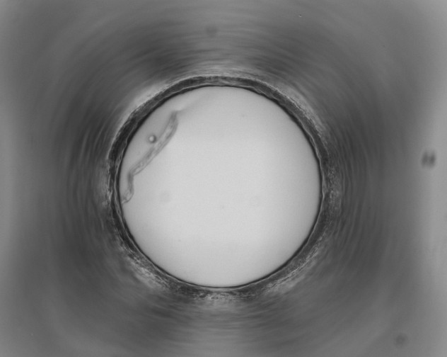 X0000096690974200802261536