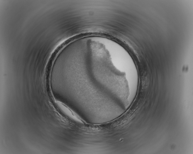 X0000096690975200802261536