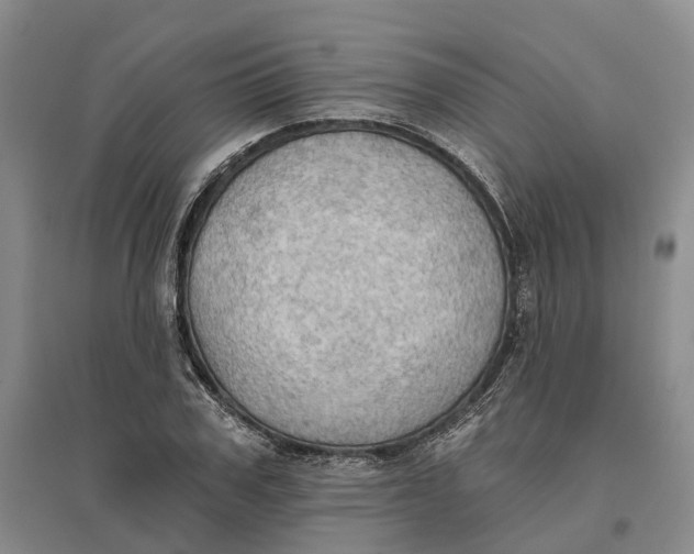 X0000096690979200802261536