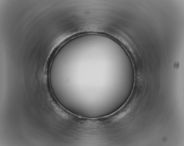 X0000096690981200802261536