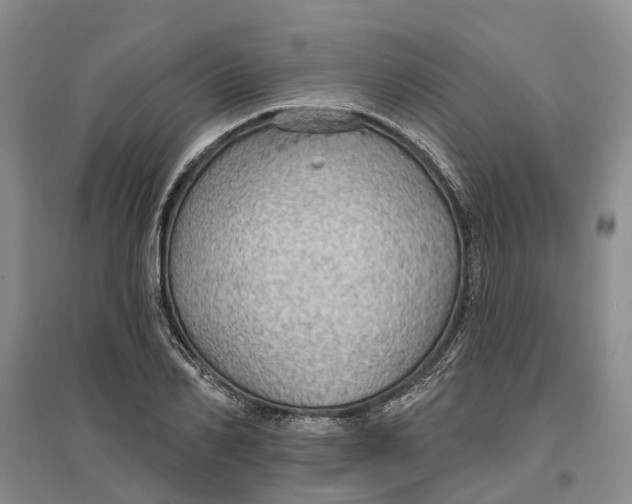 X0000096690982200802261536