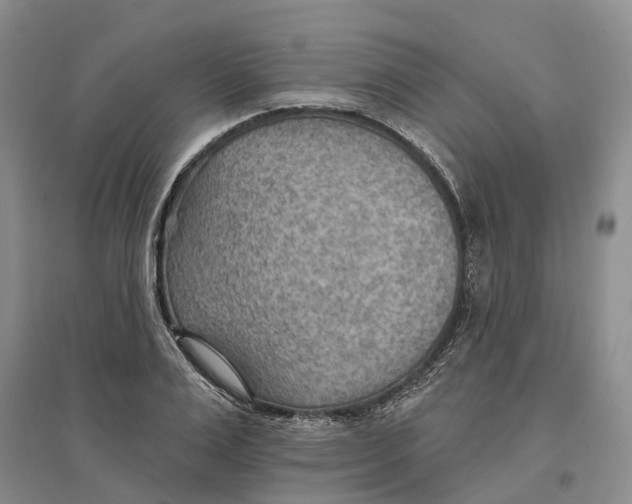 X0000096690983200802261536