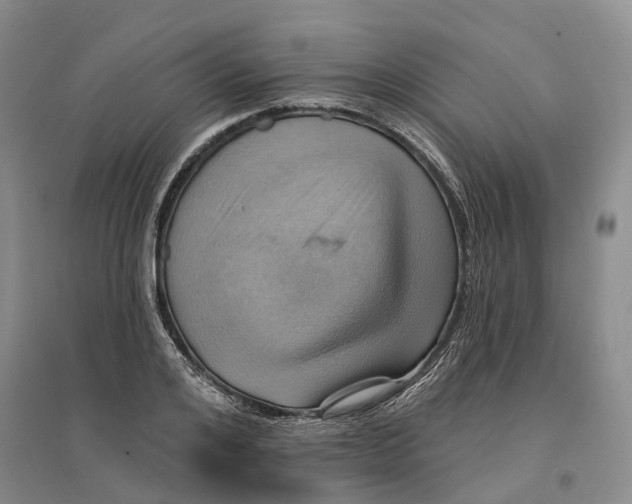 X0000096690984200802261536