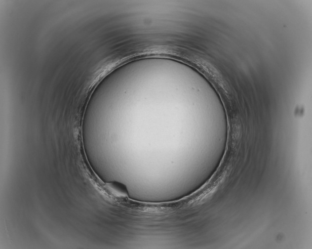 X0000096690985200802261536