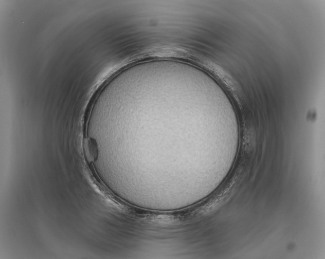 X0000096690986200802261536