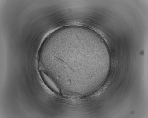 X0000096690987200802261536