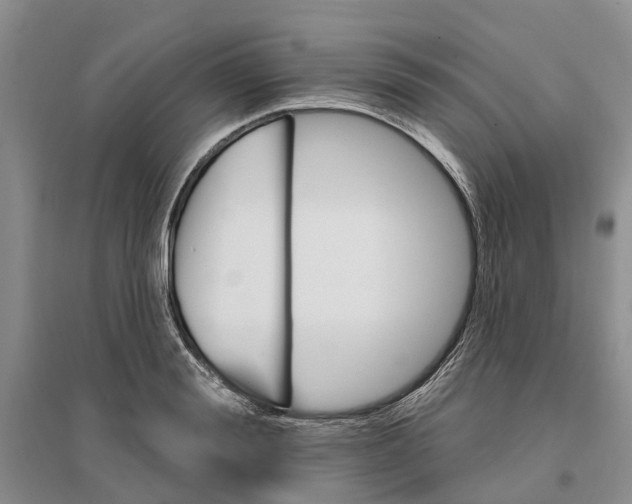 X0000096690988200802261536