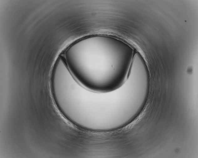 X0000096690989200802261536