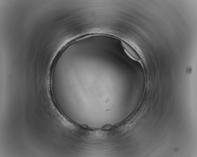 X0000096690992200802261536