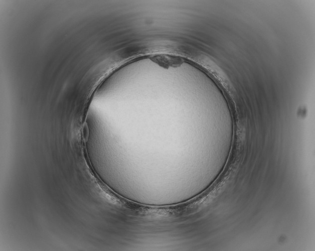 X0000096690993200802261536