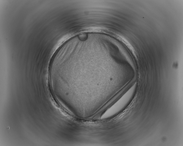 X0000096690994200802261536