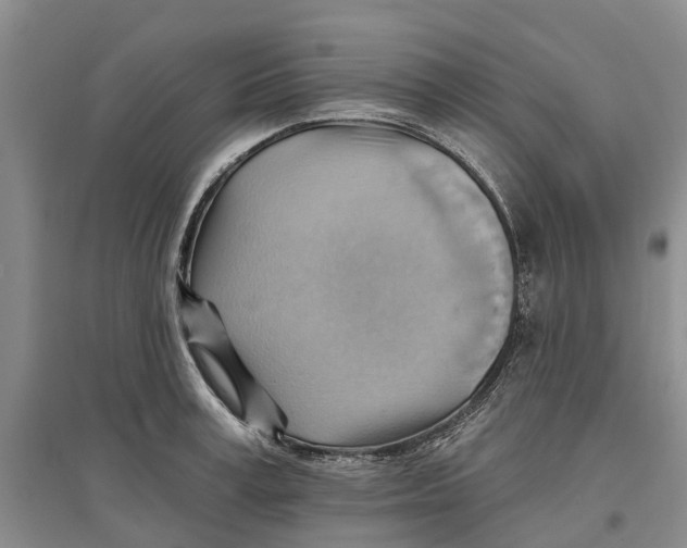 X0000096690995200802261536