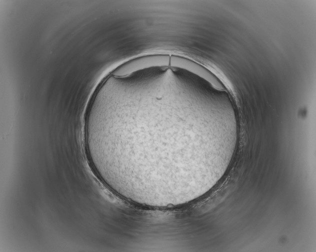 X0000096690996200802261536