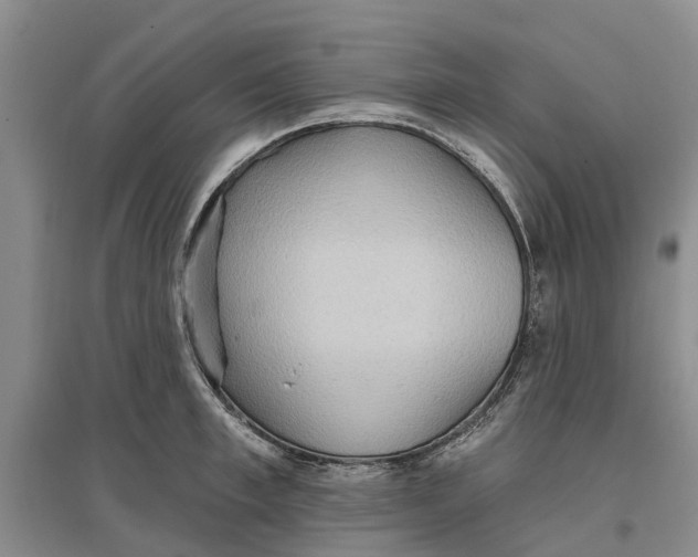 X0000096690997200802261536