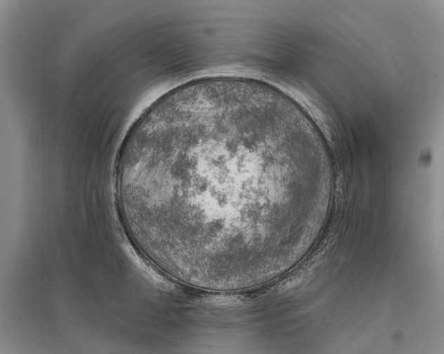 X0000096690998200802261536