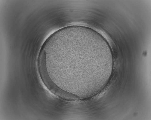 X0000096690999200802261536