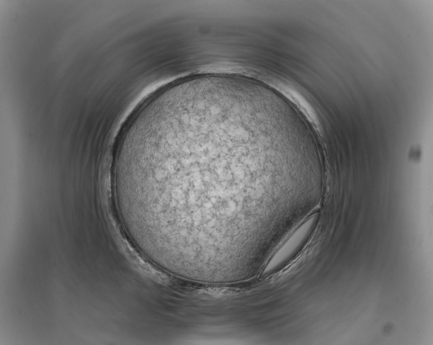 X0000096691000200802261536