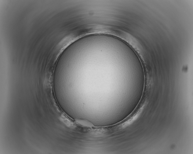 X0000096691001200802261536