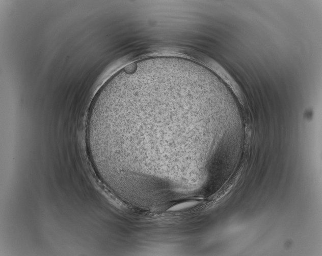 X0000096691002200802261536