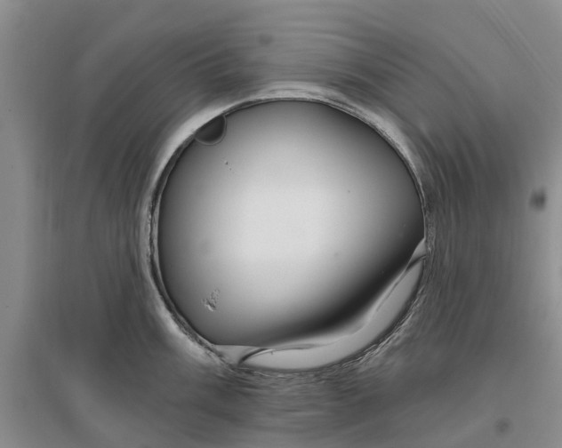 X0000096691003200802261535