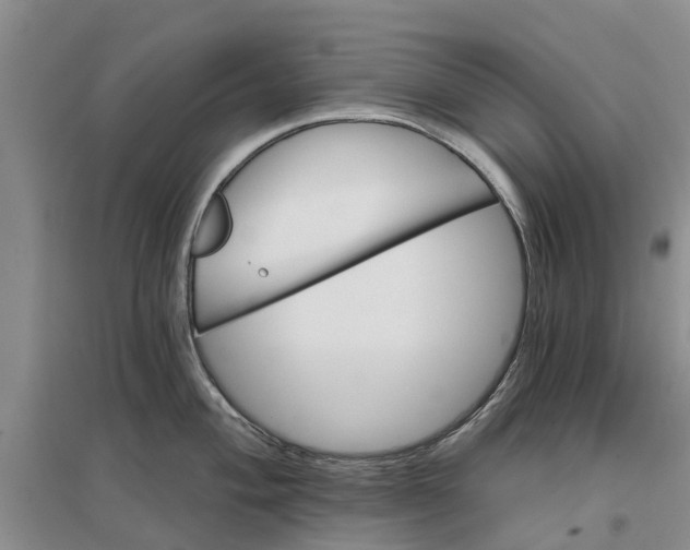 X0000096691004200802261535