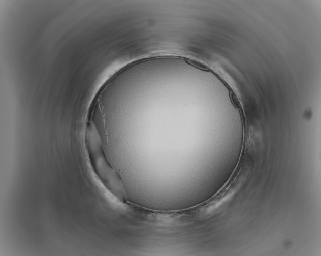 X0000096691005200802261535