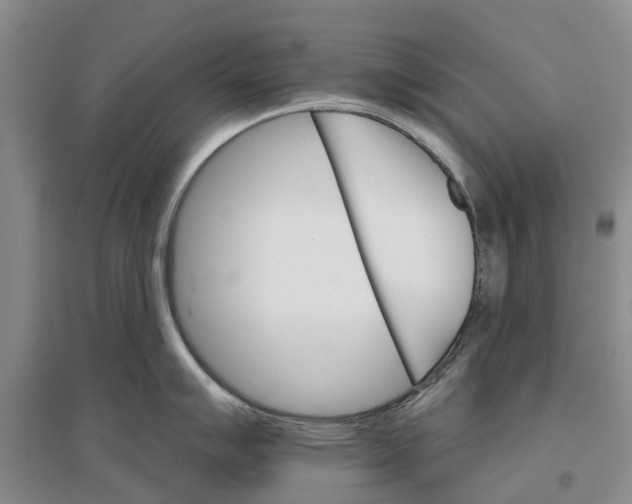 X0000096691007200802261535