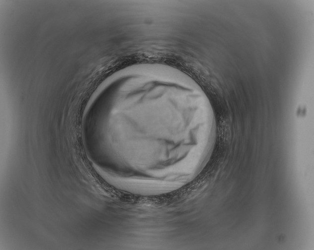 X0000096691009200802261535