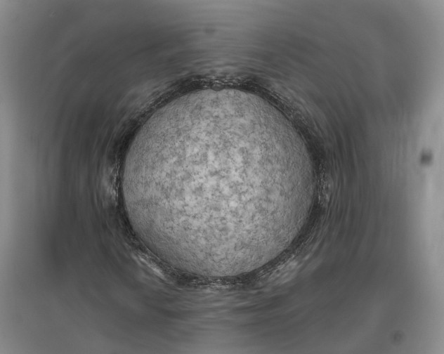 X0000096691010200802261535