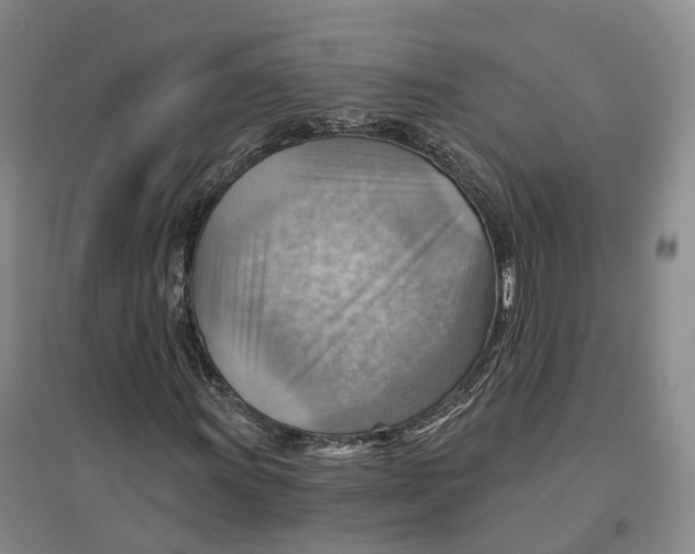 X0000096691011200802261535