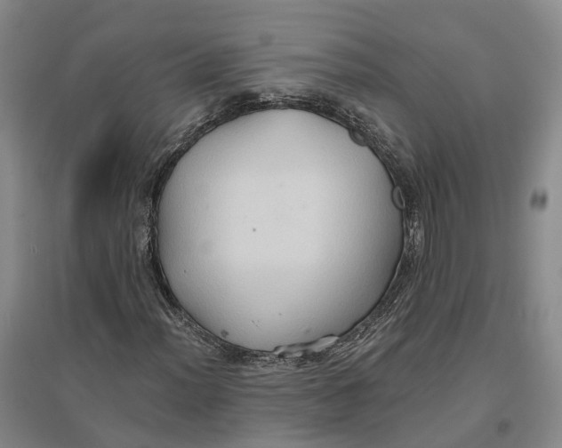 X0000096691012200802261535