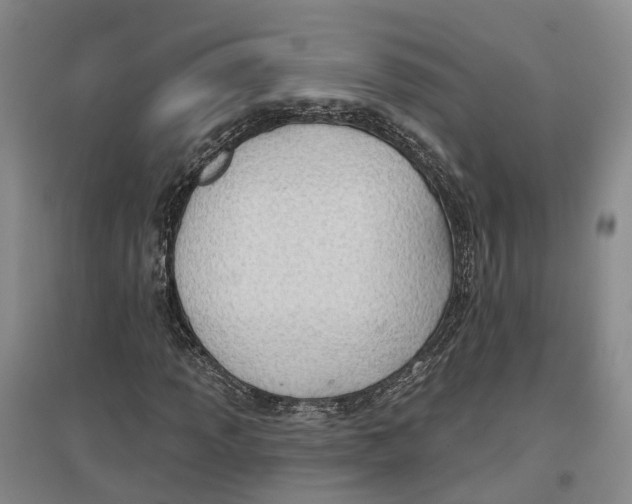 X0000096691013200802261535