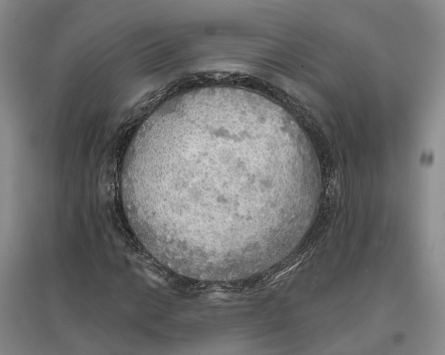 X0000096691014200802261535